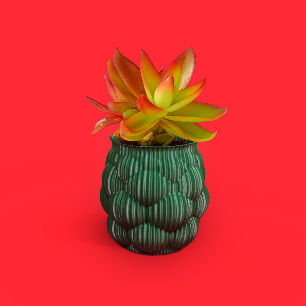 BERRY FLOWERPOT